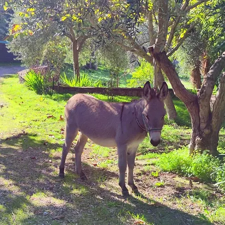 Casa rural La Tinaia Magomadas